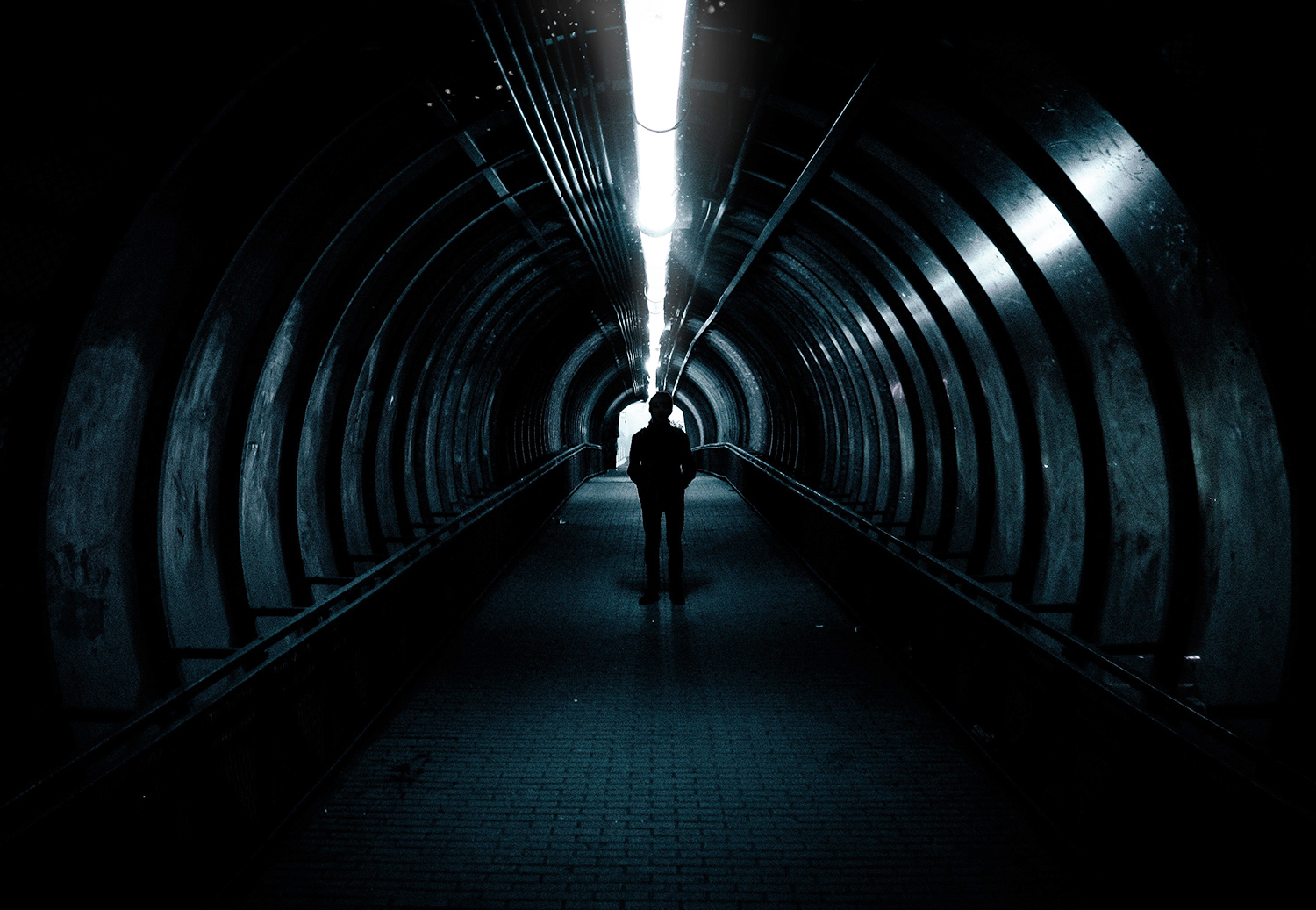 El culpable dentro de nuestro living