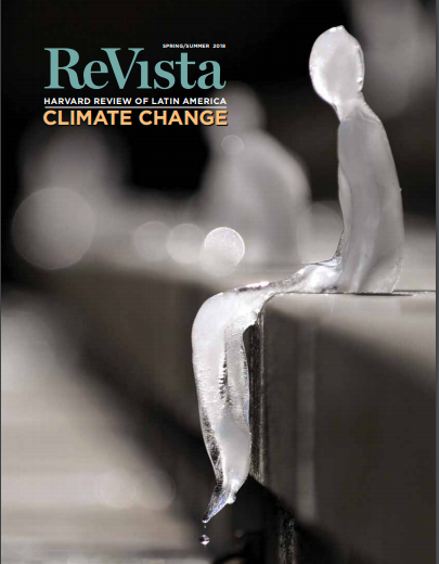 Patricio Valdivieso en ReVista: Harvard Review of Latin America