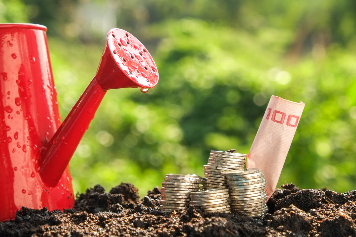 La importancia y poder de la educación financiera