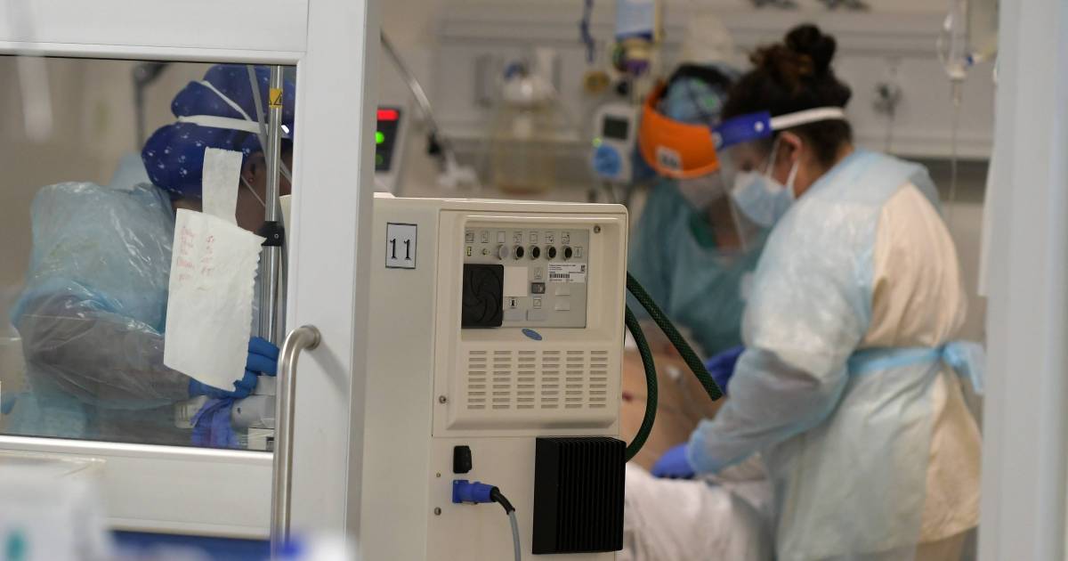 Covid-19: Modelo de predicción de la ocupación de las camas UCI permitió evitar 850 muertes